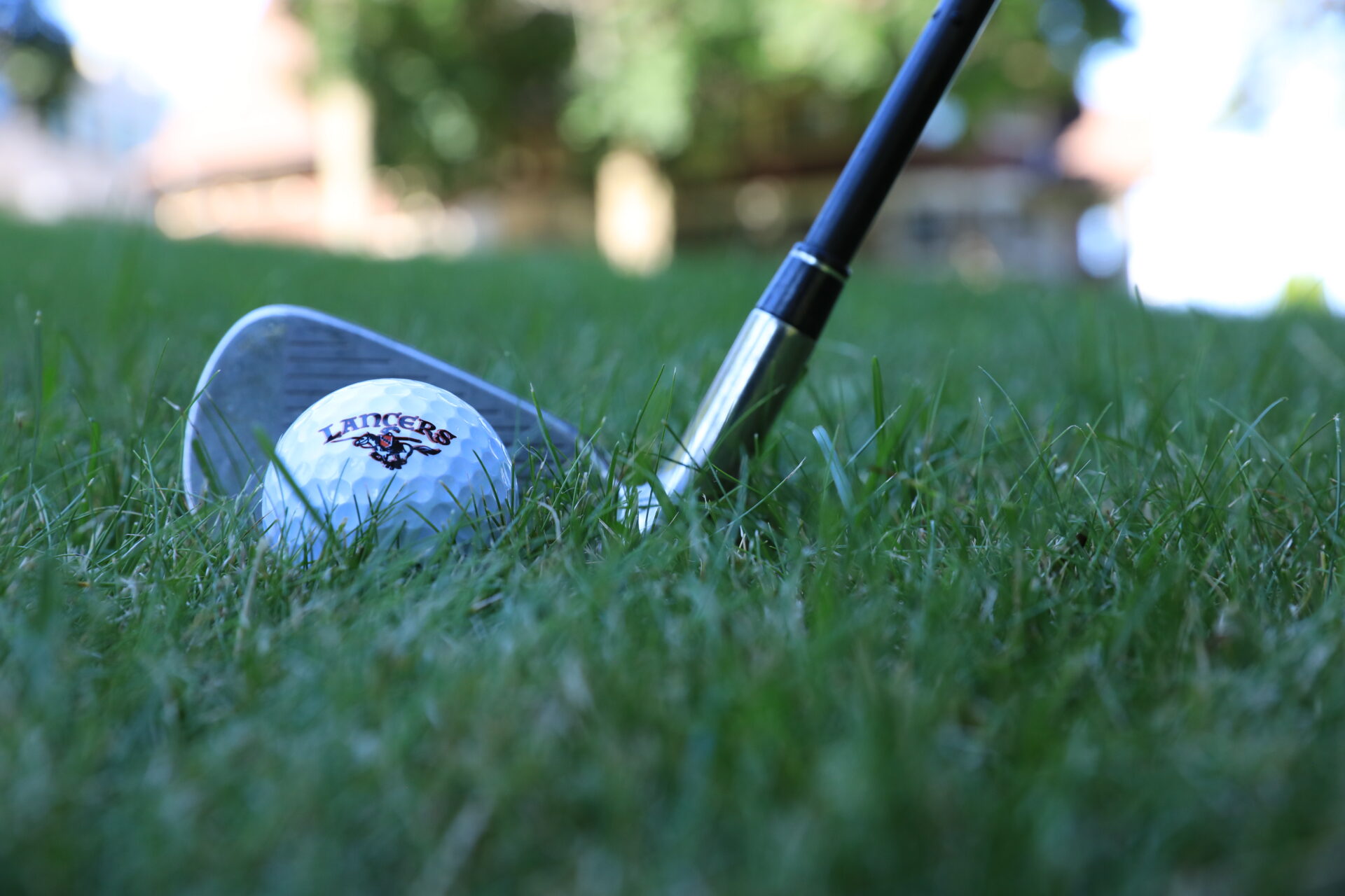 golf ball with logo