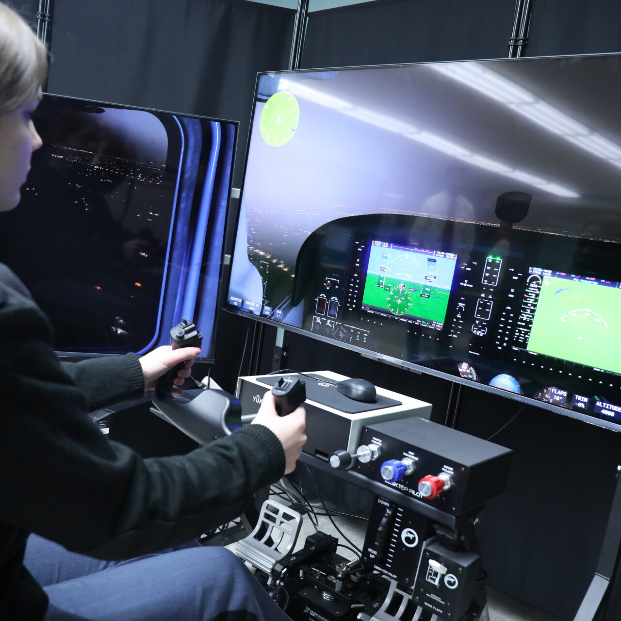 Flight Simulator Evelyn