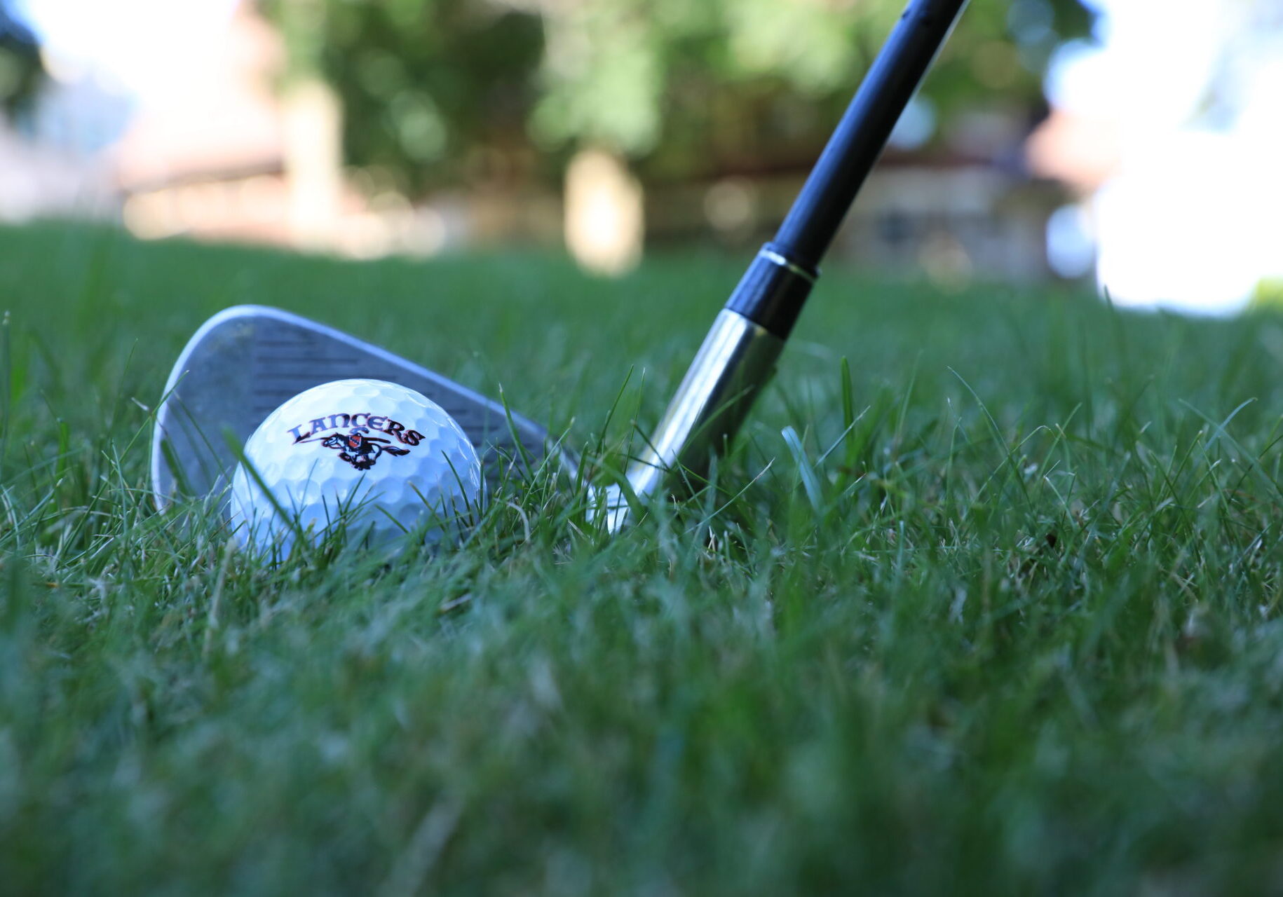 golf ball with logo