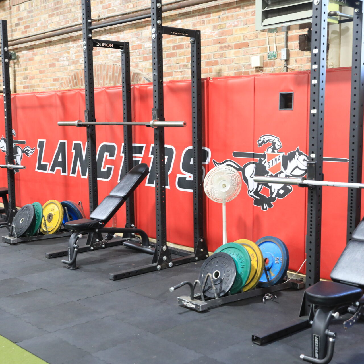 rows of racks and weights